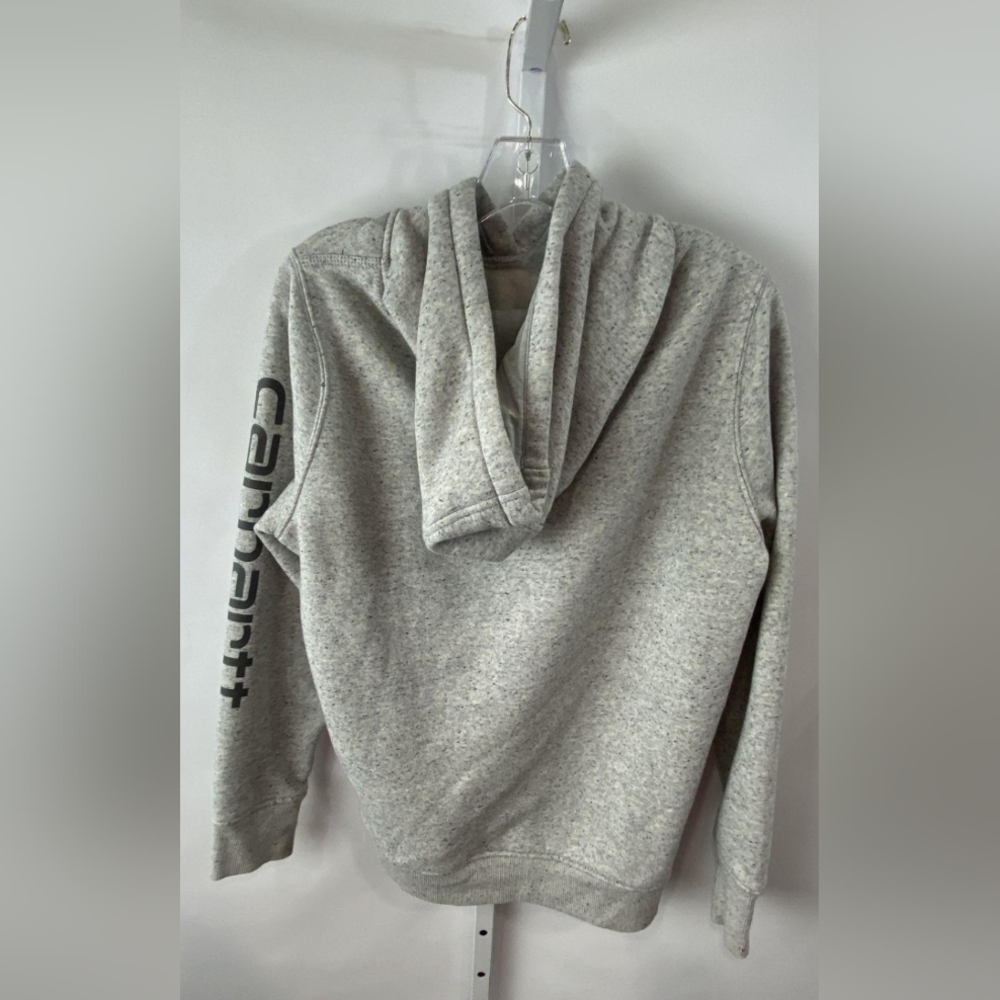 Carhartt Clarksburg Graphic Sleeve Hoodie Sweatshirt Size L MSRP $59.99 - Picture 7 of 9